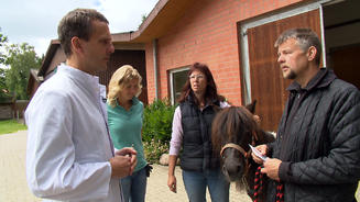 Sorge um Pony Lollipop
