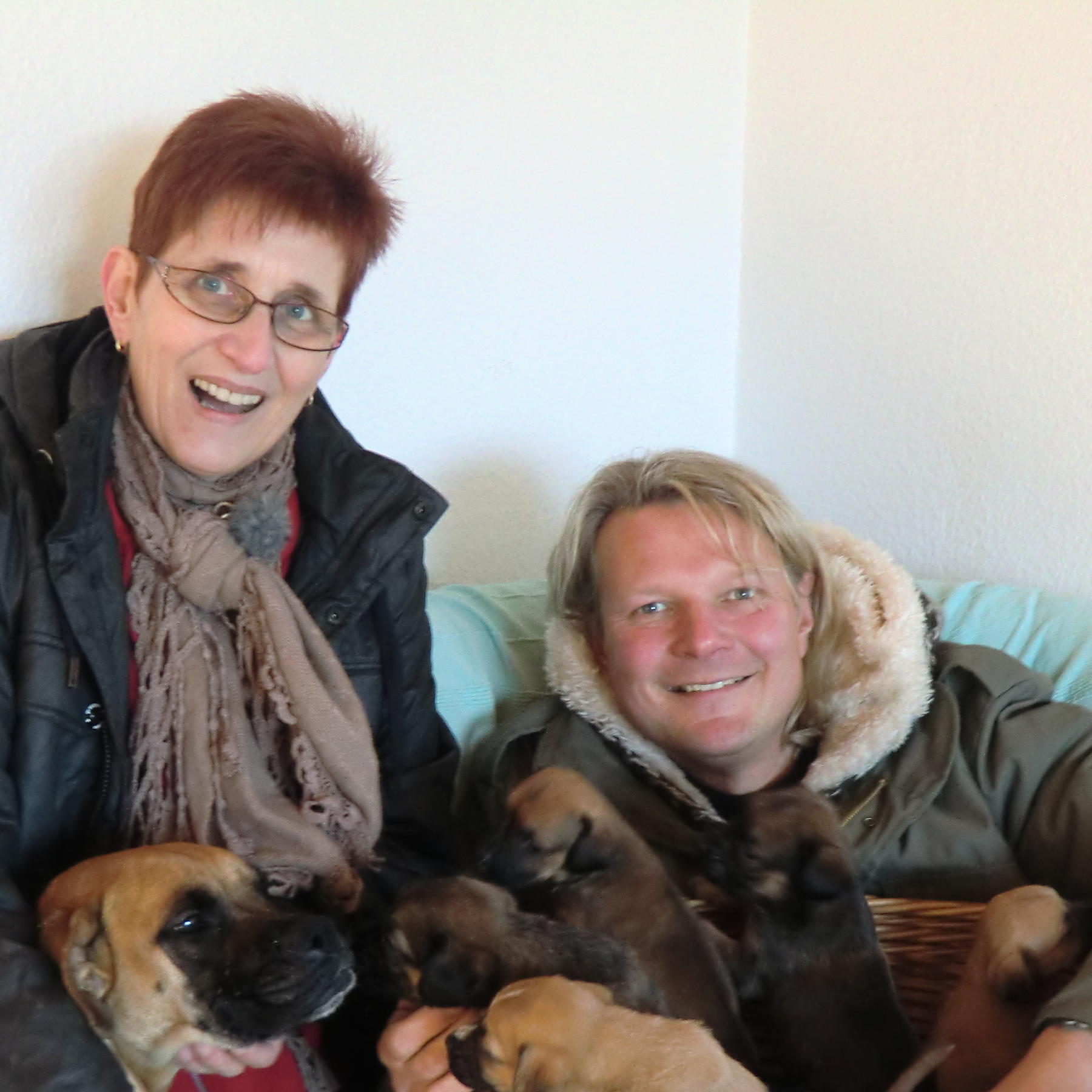 Tiere in Not - Hundefamilie 2 Tiere in Not - Hundefamilie 2