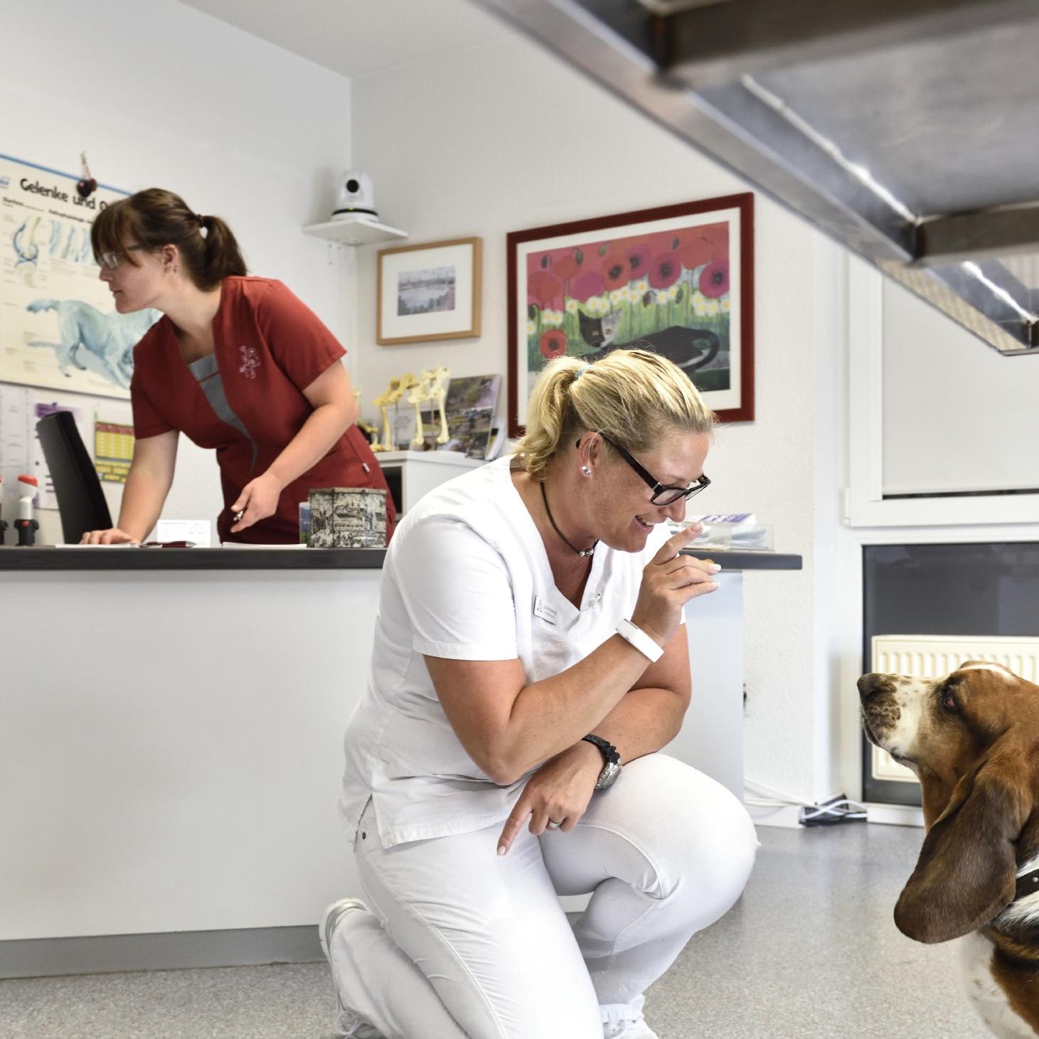 Tierklinik LG 0042.jpg