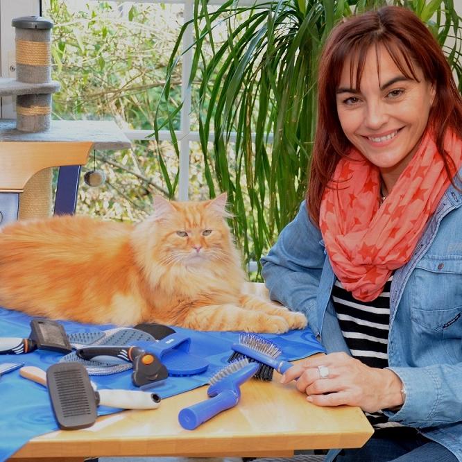 Tiergeschichten2 - VOX-DOCMA TV-JULIA PANZER - Katzenbrsten-Test Tiergeschichten2 - VOX-DOCMA TV-JULIA PANZER - Katzenbrsten-Test