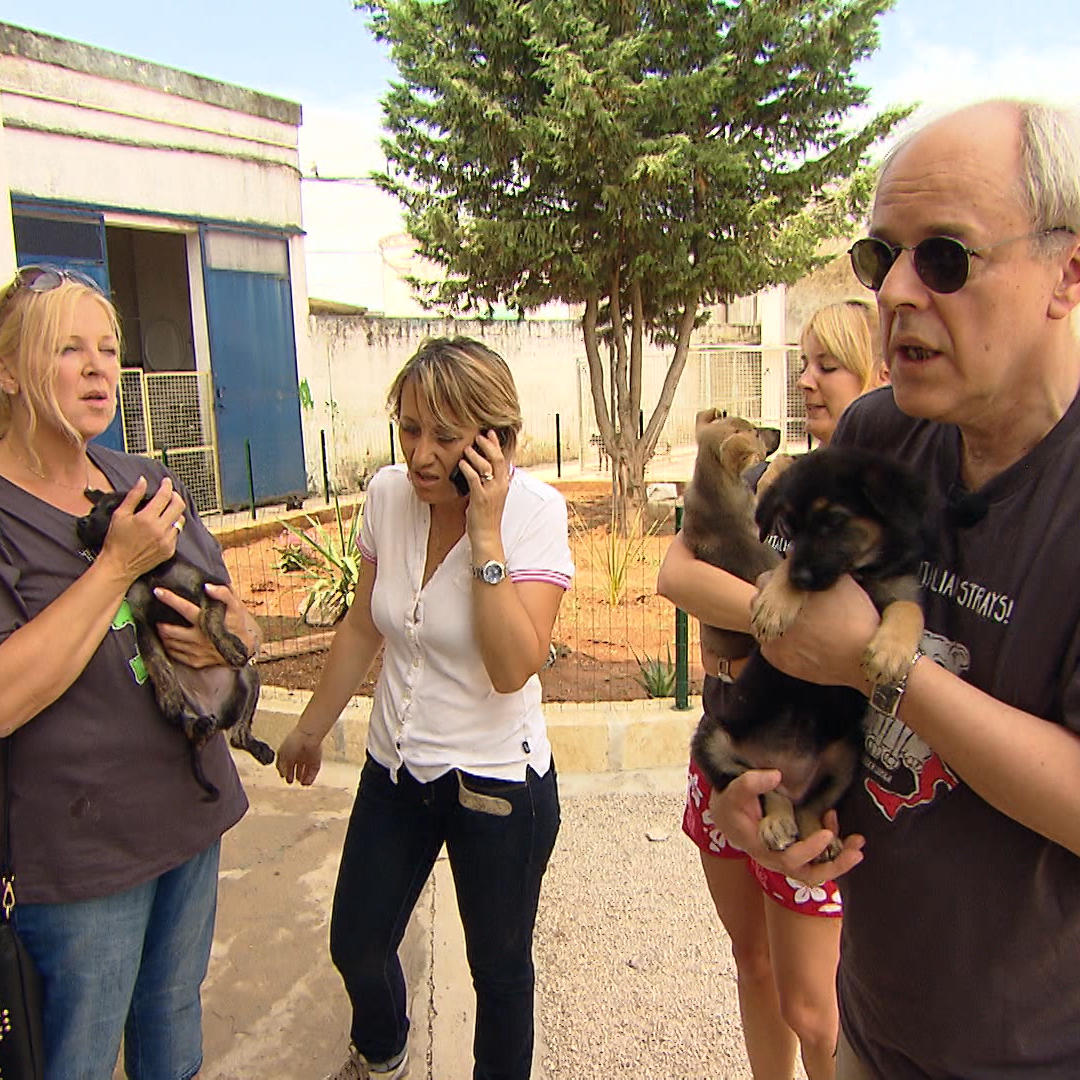 Miniserie Straenhunde Apulien - VOX DOCMA TV - Susanne Luigia Nina und Robert (v.l.) helfen italienischen Hunden in Not Miniserie Straenhunde Apulien - VOX DOCMA TV - Susanne Luigia Nina und Robert (v.l.) helfen italienischen Hunden in Not