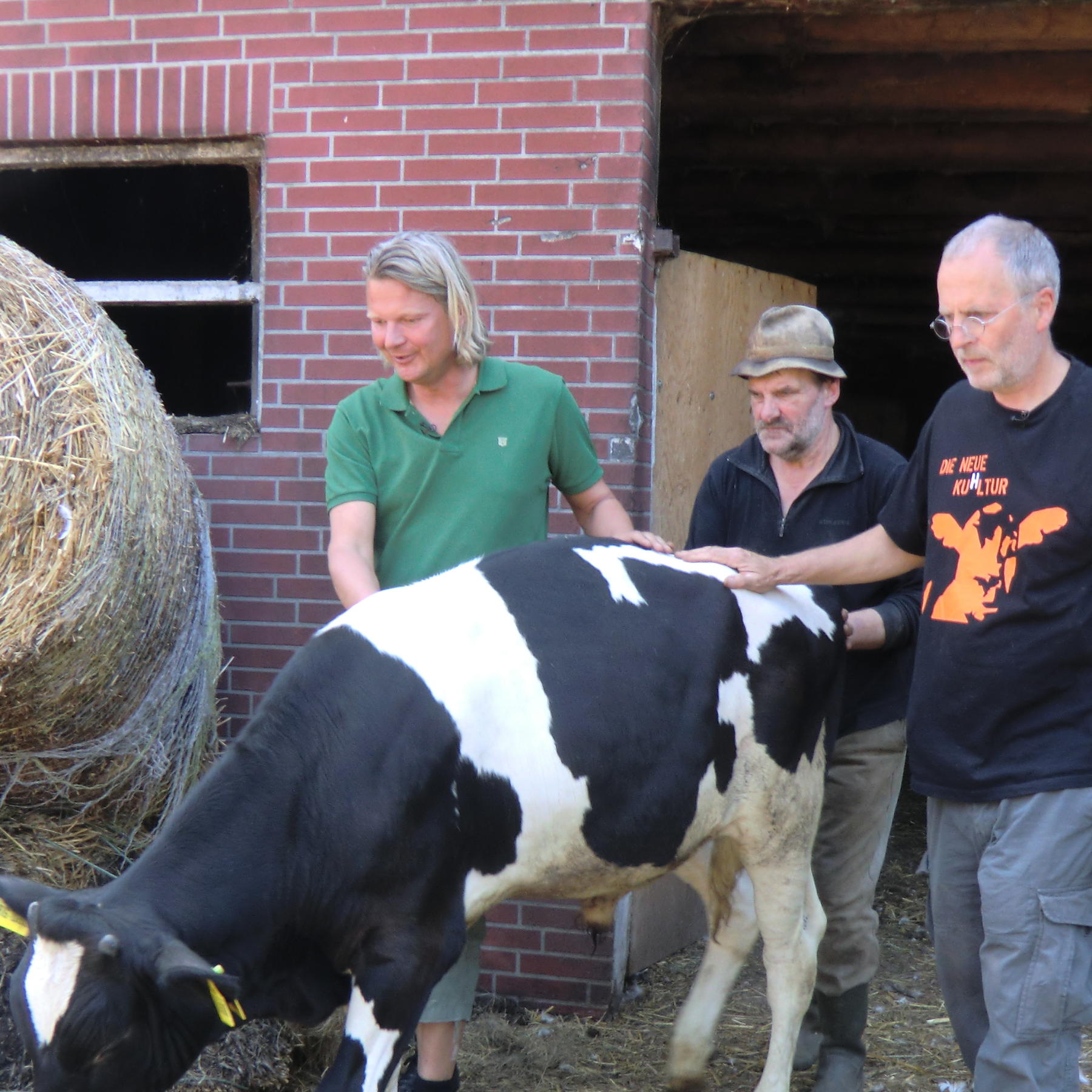 Vorschau1 - Syke Fortsetzung Befreiung Kalb