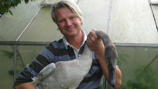 Hundehaltung außer Kontrolle