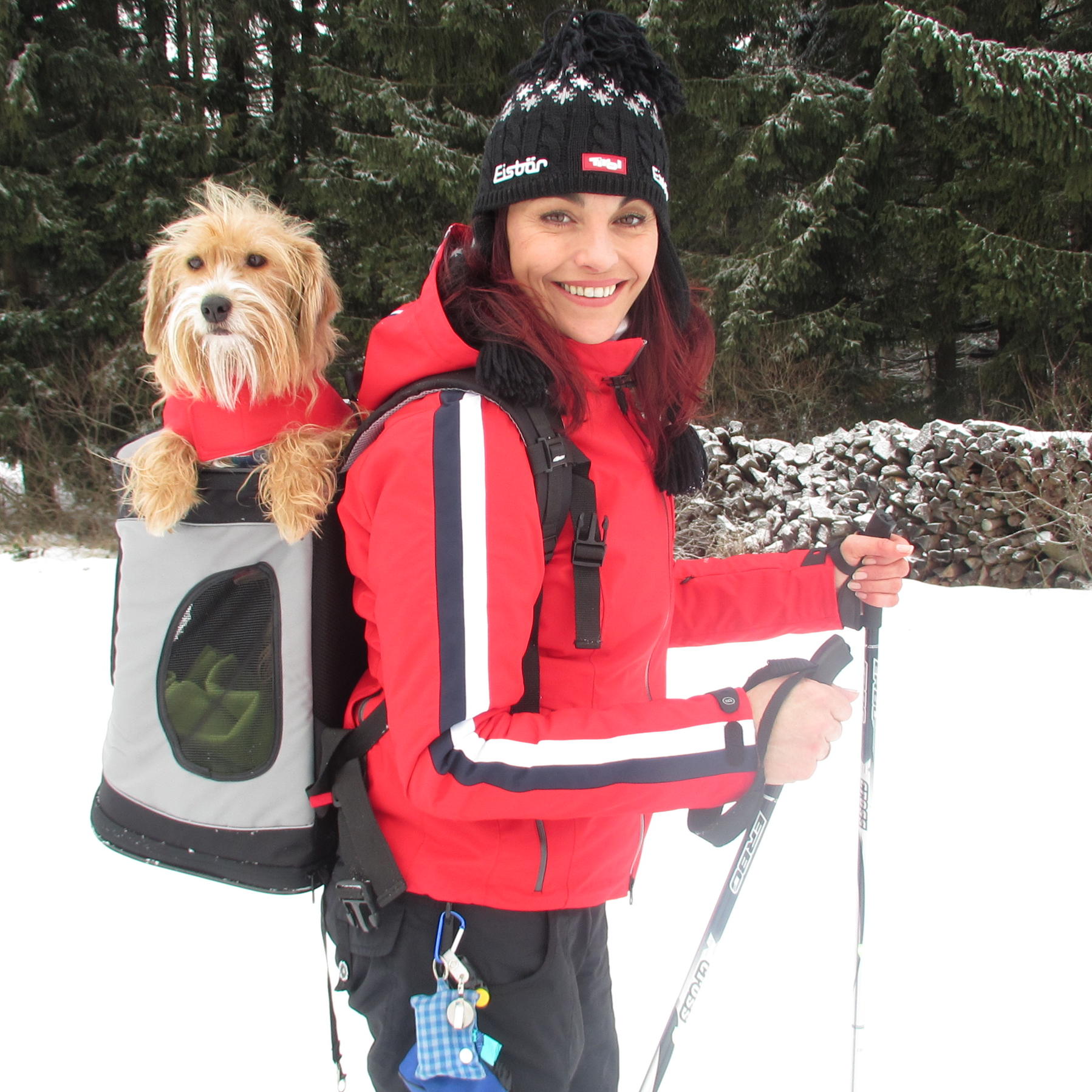 Vorschau1 - Winteraktivitten mit Hund Vorschau1 - Winteraktivitten mit Hund