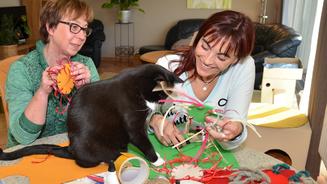 Kater Flocke - Taub & unvermittelbar?