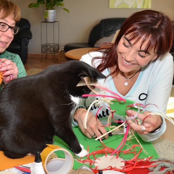 Tiergeschichten1 - VOX-DOCMA TV-MANUELA BAUER - Selbstgemachtes Katzenspielzeug