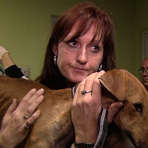 Tiergeschichten3 - VOX - Gudrun und Galgohndin Zambia