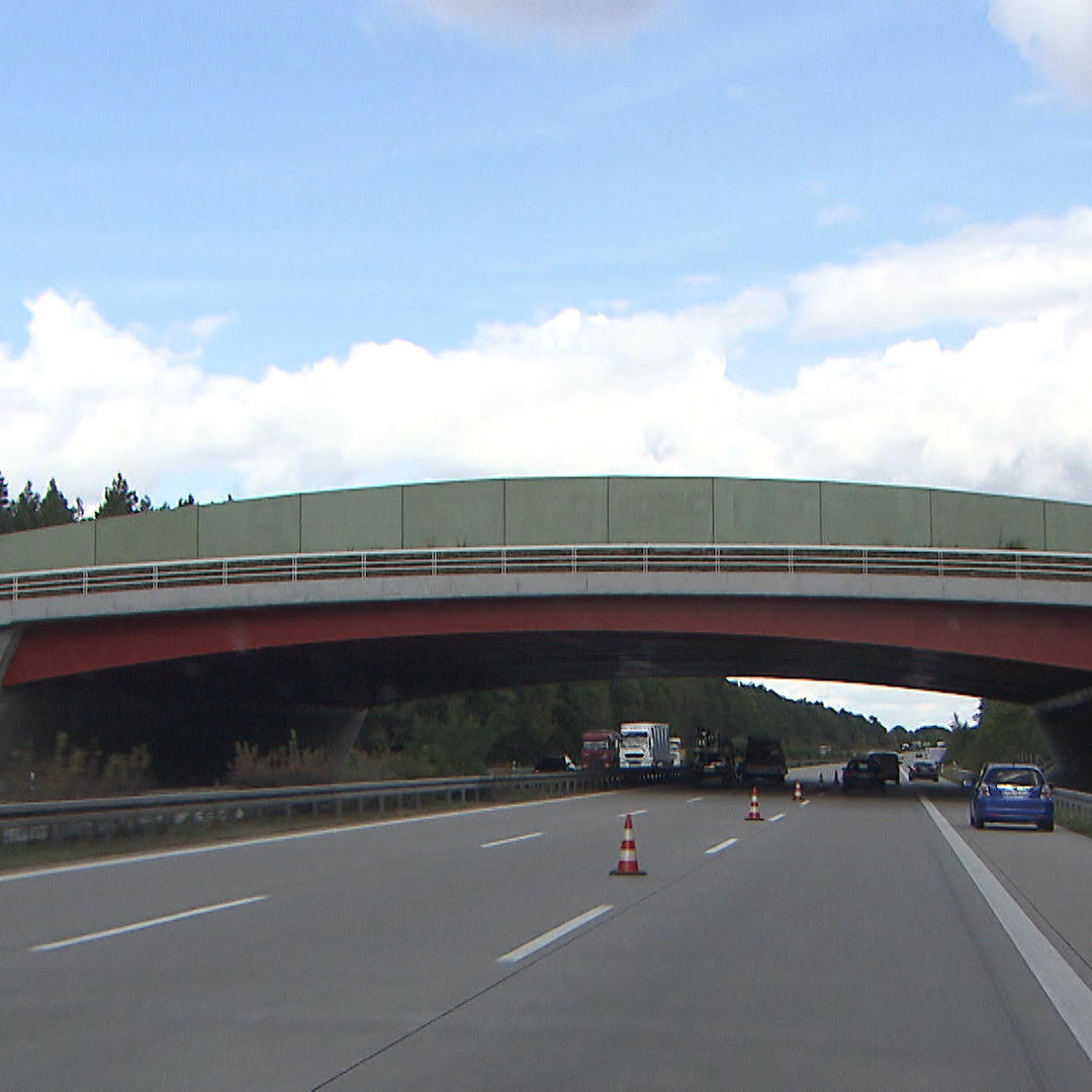 Wildbruecken 1 Wildbruecken 1