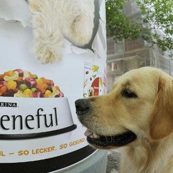 Duftplakate sollen Hunde anlocken Duftplakate sollen Hunde anlocken