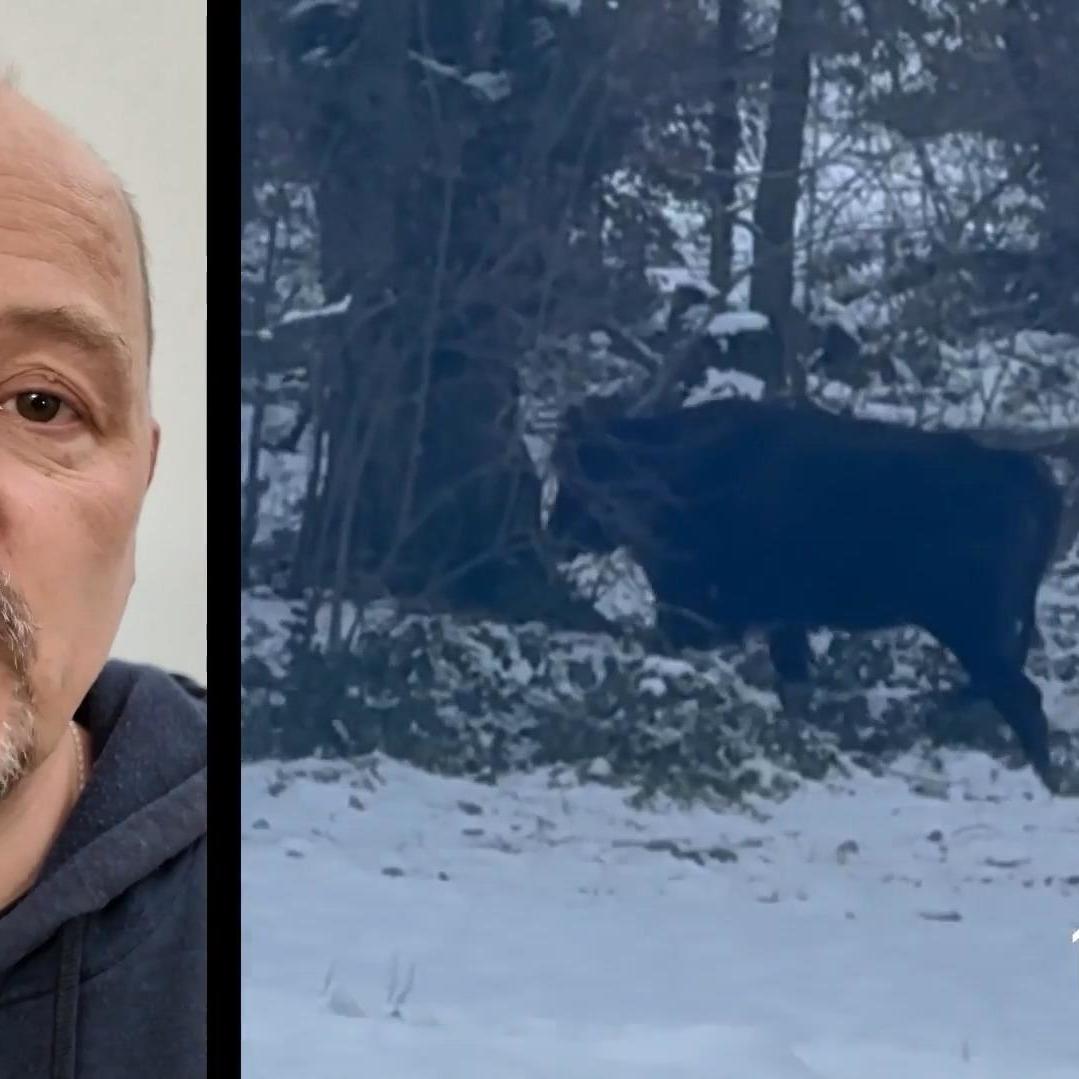 Der Düsseldorfer Tierretter Stefan Böcking setzt alles daran die \Wilde Hilde\ zu retten. Der Düsseldorfer Tierretter Stefan Böcking setzt alles daran die \Wilde Hilde\ zu retten.