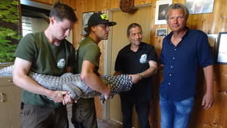 Krokodil und Affe suchen ein Zuhause