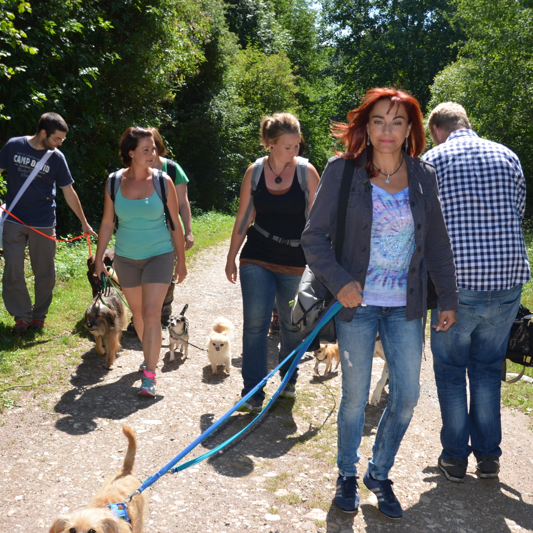 HKM Krimitour mit Hund 2 DOCMA TV HKM Krimitour mit Hund 2 DOCMA TV