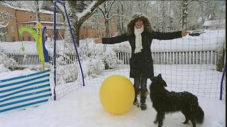 Video: Winterspaß für Hunde