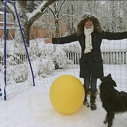 tiergesch1 treibball tiergesch1 treibball