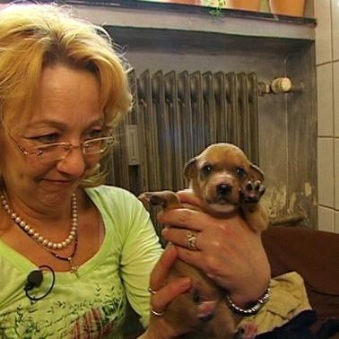 tiergeschichten3 tiergeschichten3