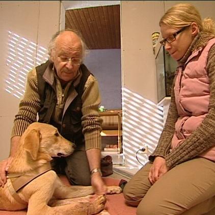 Vorschau Dr. Wolf Hund Bnderriss Vorschau Dr. Wolf Hund Bnderriss