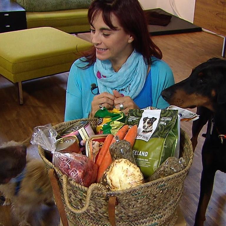 Tiergeschichten2 - VOX - Diana hinterfragt Ernhrungsmythen rund um den Hund Tiergeschichten2 - VOX - Diana hinterfragt Ernhrungsmythen rund um den Hund