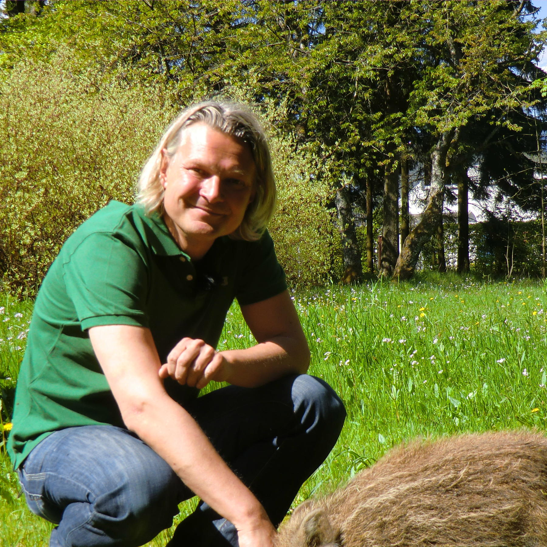 Tiere in Not - Paul Tiere in Not - Paul