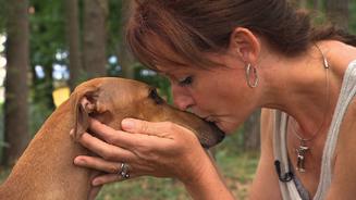 Operation Galgo: Ein neuer Anfang