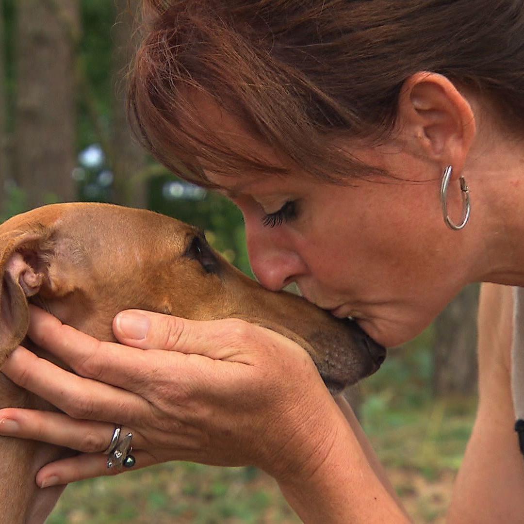 Tiergeschichten3 - VOX - Das groe Finale - Abschied von Zambia Tiergeschichten3 - VOX - Das groe Finale - Abschied von Zambia