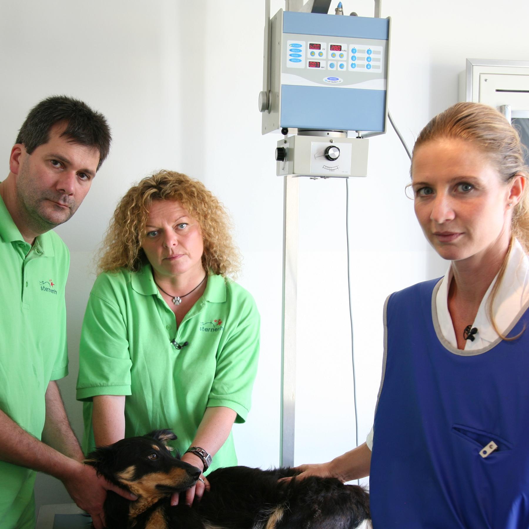 tiergeschichten3 a2