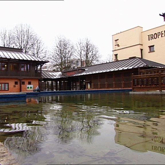 Zoo-Hagenbeck 2