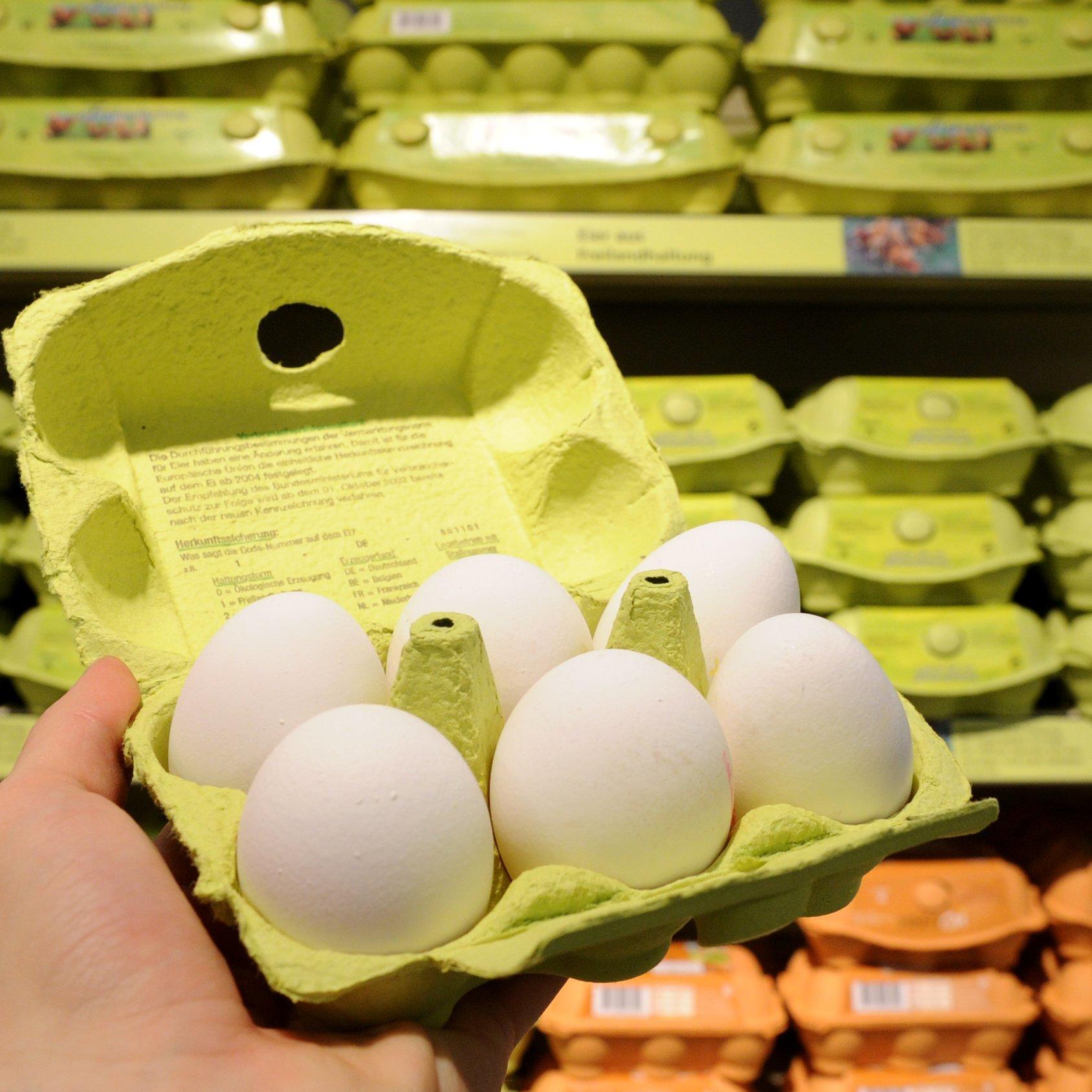 Eier im Supermarkt