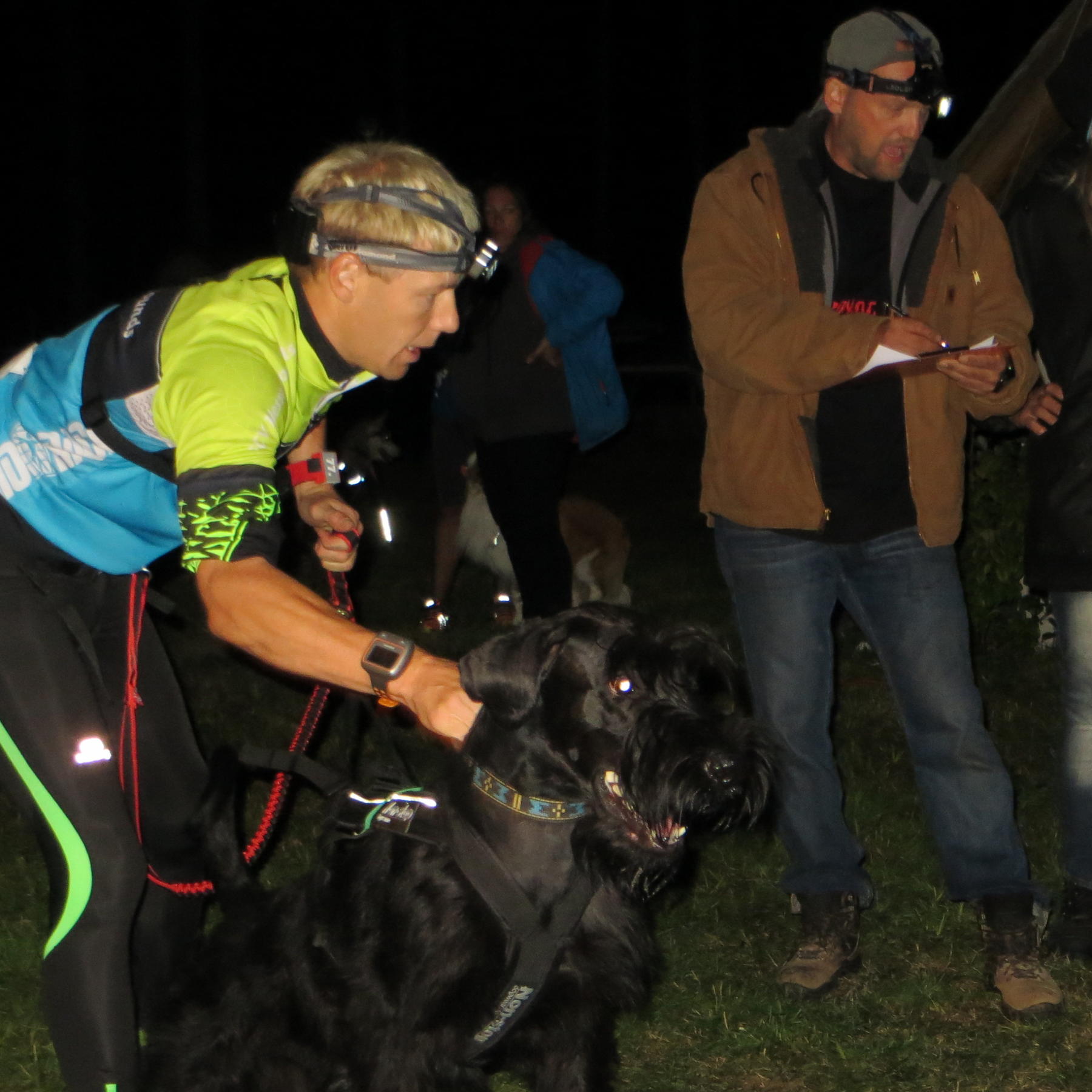 IronDog VOX DOCMA TV
