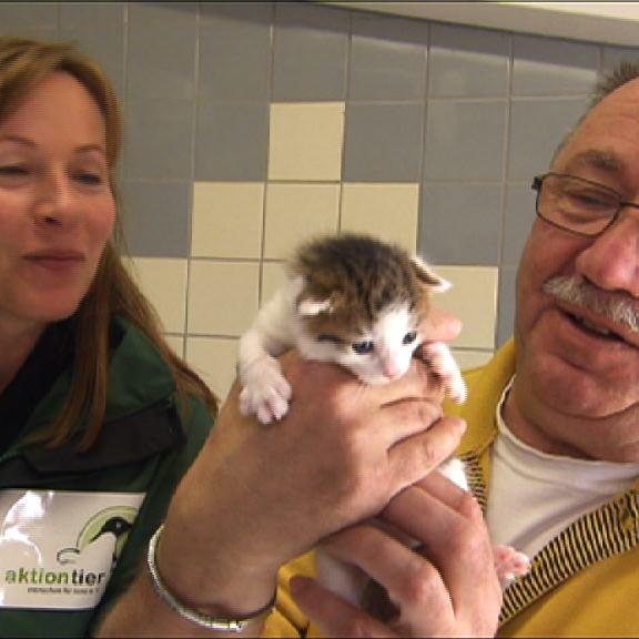 Tiergeschichten3 - Ursula und Harry Untersuchung Katzenbaby Tiergeschichten3 - Ursula und Harry Untersuchung Katzenbaby