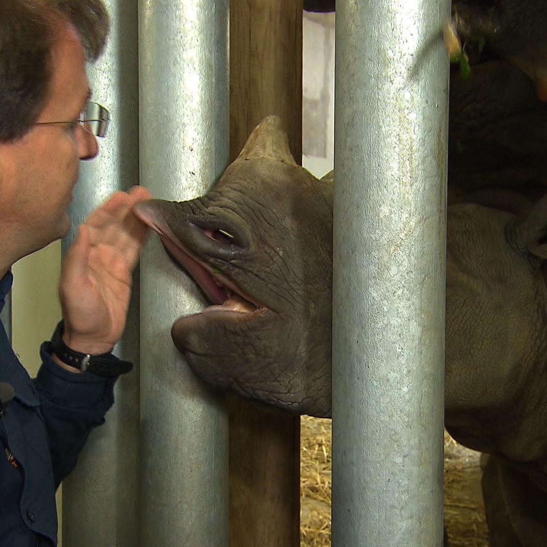 Tiergeschichten4 - Matthias Reinschmidt und Spitzmaulnashorn-Baby Tiergeschichten4 - Matthias Reinschmidt und Spitzmaulnashorn-Baby