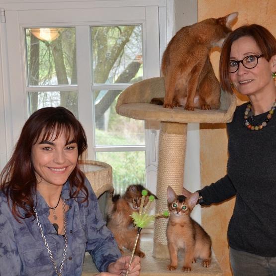 Vorschau2 - VOX-DOCMA TV-DANIEL VOGT - Diana mit Alice Rosol und Somali-Katzen Vorschau2 - VOX-DOCMA TV-DANIEL VOGT - Diana mit Alice Rosol und Somali-Katzen