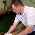 ww folge143 koi a2 ww folge143 koi a2