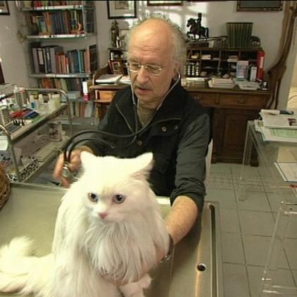 sprechstunde1 drwolf+katze sprechstunde1 drwolf+katze