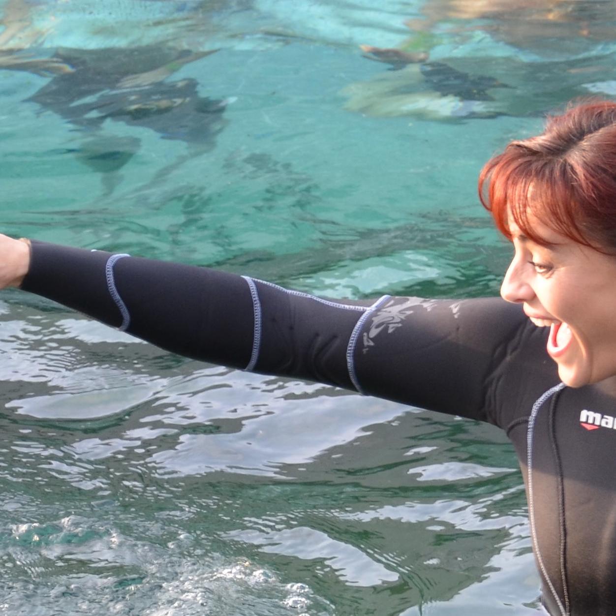 Tiergeschichten 2 - Bild 2 - Pinguine - Diana im Wasser Tiergeschichten 2 - Bild 2 - Pinguine - Diana im Wasser