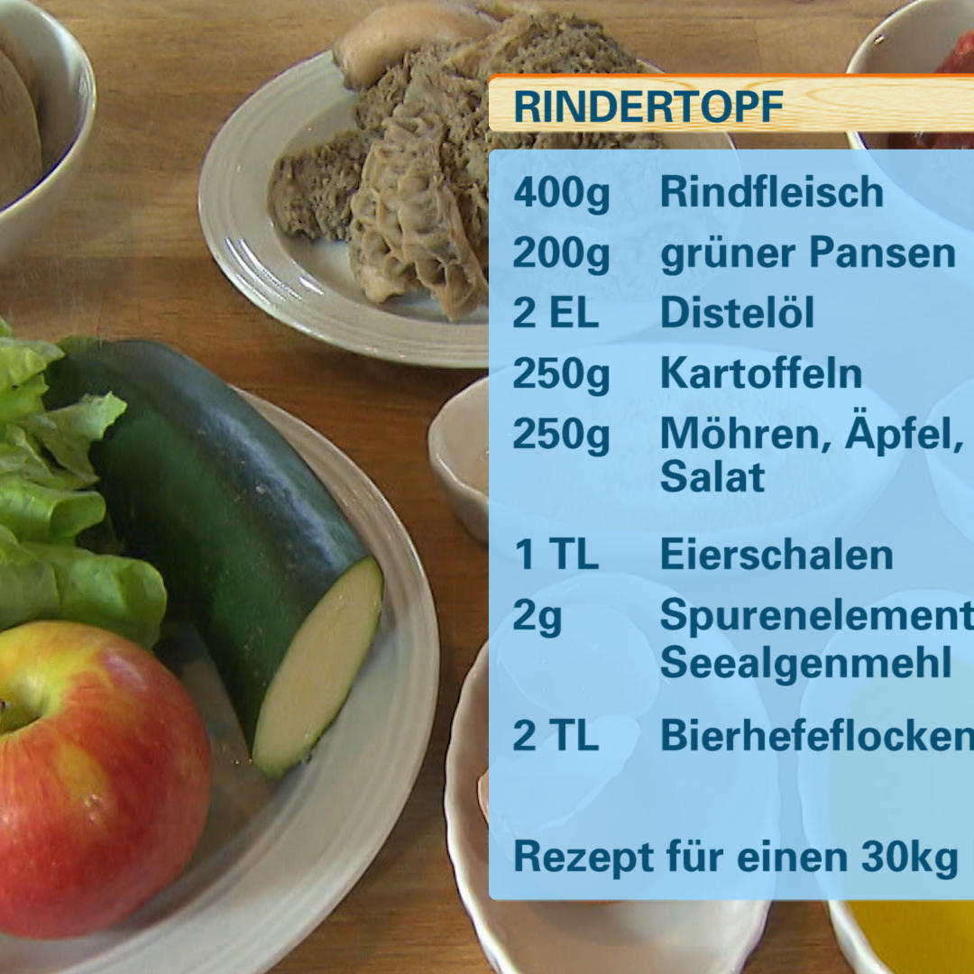 Barfen- Rindertopf VOX Barfen- Rindertopf VOX
