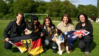 Hunde im Fußballfieber