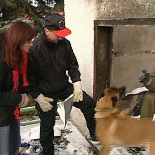 tiergeschichten1 a2 tiergeschichten1 a2