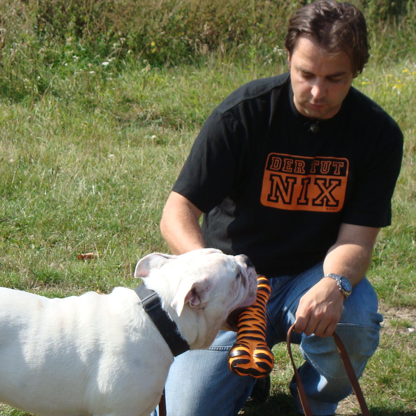 hundeprofi kurt2 hundeprofi kurt2