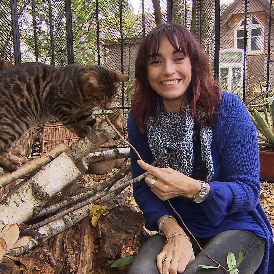 Tiergeschichten1 - Diana und Katzenrasse Toyger Tiergeschichten1 - Diana und Katzenrasse Toyger