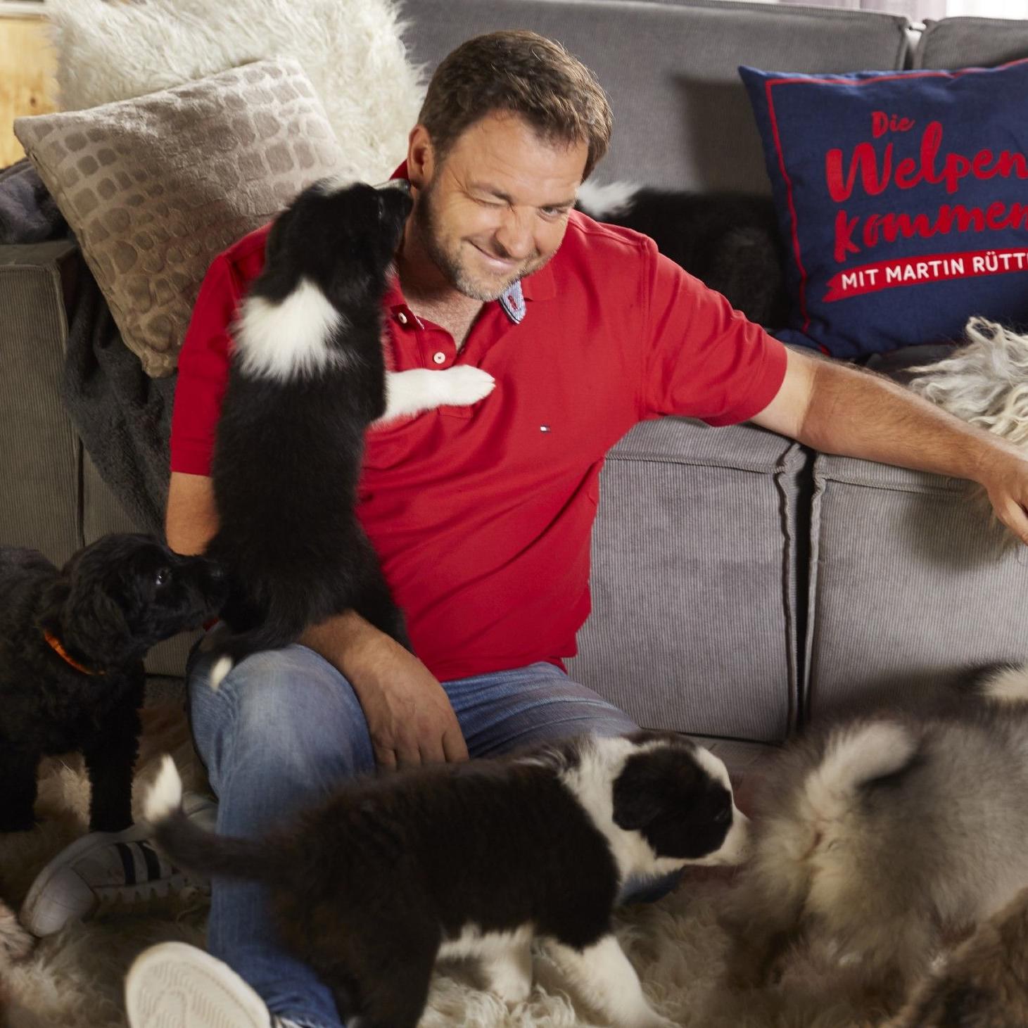 An Weihnachten gehören Hunde für Martin Rütter zum Fest dazu - inklusive Geschenk für die Vierbeiner. An Weihnachten gehören Hunde für Martin Rütter zum Fest dazu - inklusive Geschenk für die Vierbeiner.