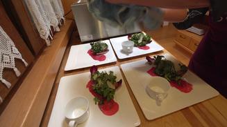  Steinpilz-Cremesuppe mit Carpaccio