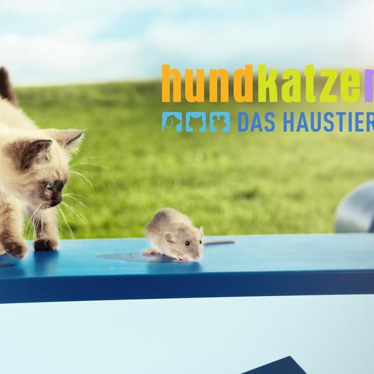 Die große „hundkatzemaus“-Umfrage ist zurück