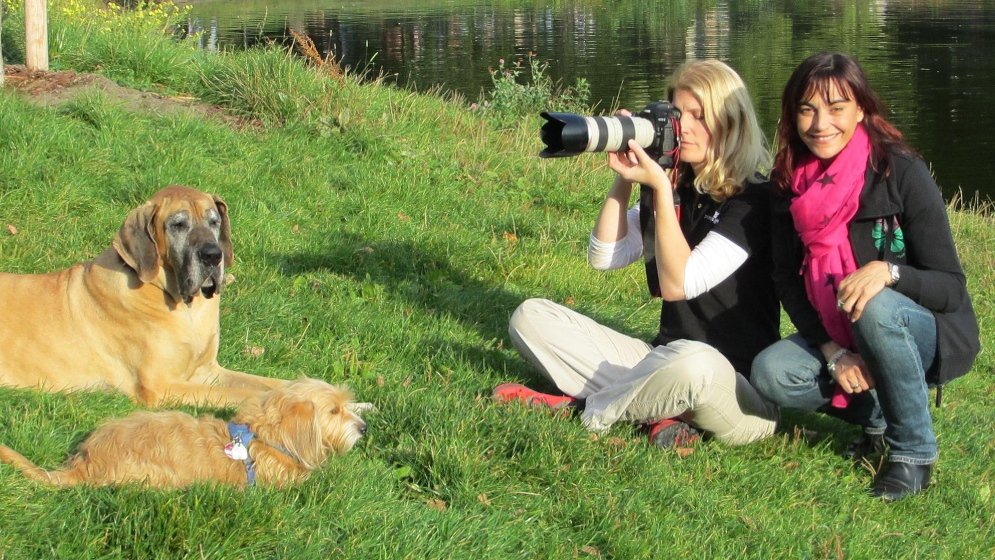  hundkatzemaus: So gelingt das perfekte Tierfoto 