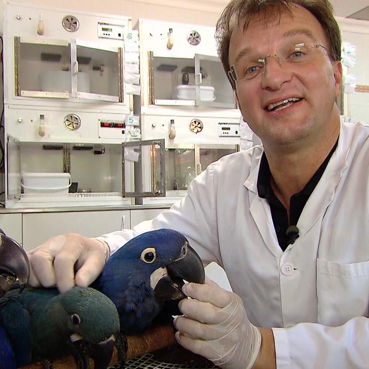Tiergeschichten3 - VOX - Matthias Reinschmidt setzt sich fr den Erhalt bedrohter Papageienarten ein