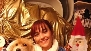Tierischer Adventskalender