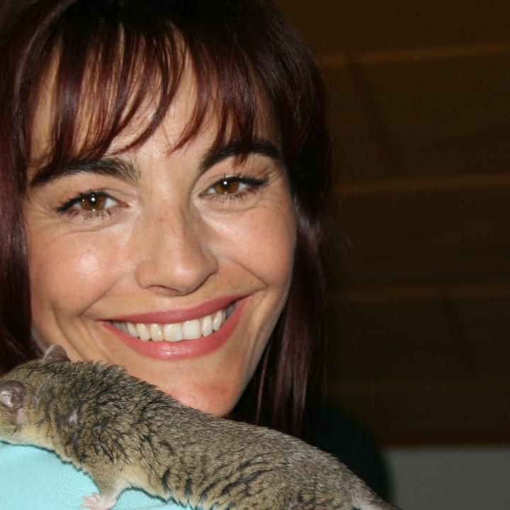 Vorschau - Opossum Vorschau - Opossum