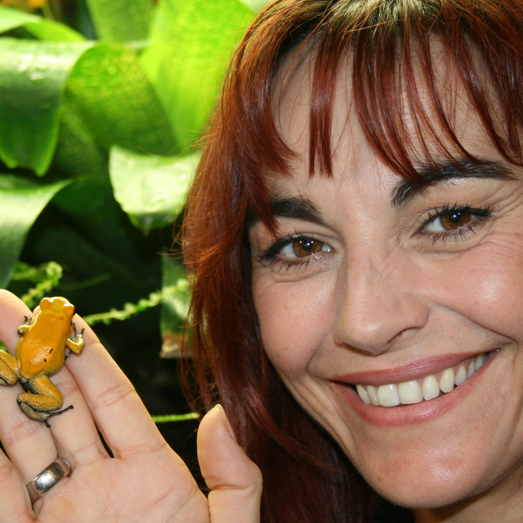 Tiergeschichten2 - Diana und Pfeilgiftfrosch Tiergeschichten2 - Diana und Pfeilgiftfrosch