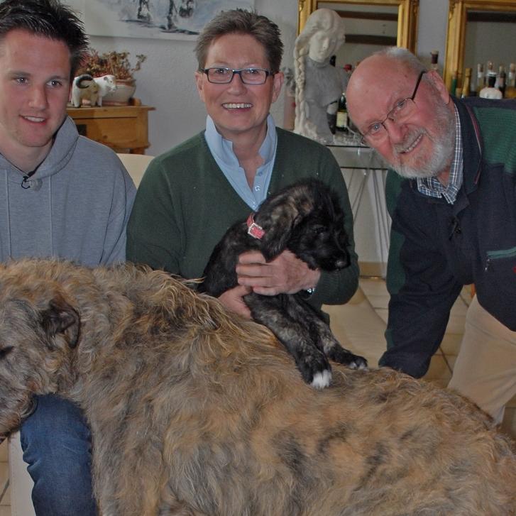 Tiergeschichten3 - VOX-DOCMA TV - Florian und Familie Heitkamp mit Irischen Wolfshunden Tiergeschichten3 - VOX-DOCMA TV - Florian und Familie Heitkamp mit Irischen Wolfshunden