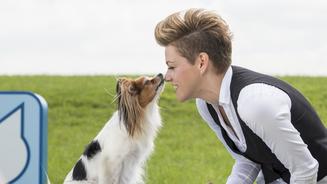 Sie peppt Tierheimhunde wieder auf