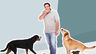 Wau! 10 Jahre "Der Hundeprofi"